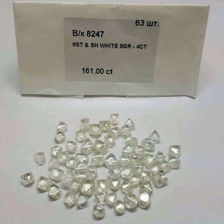 International Export